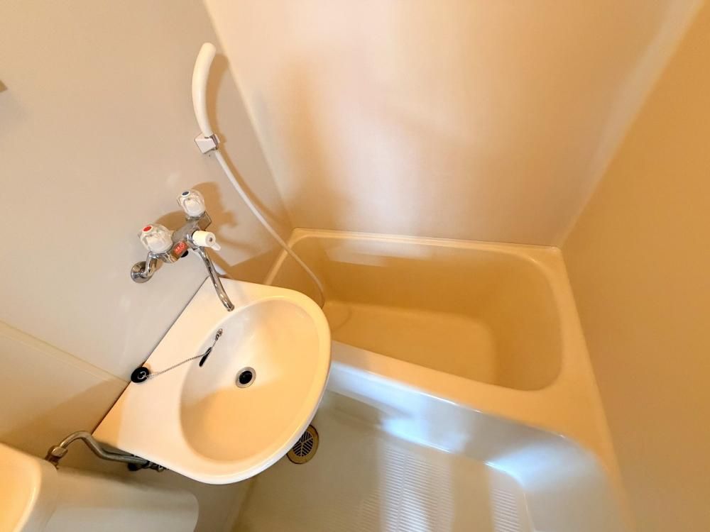 �y�o�X�z�@