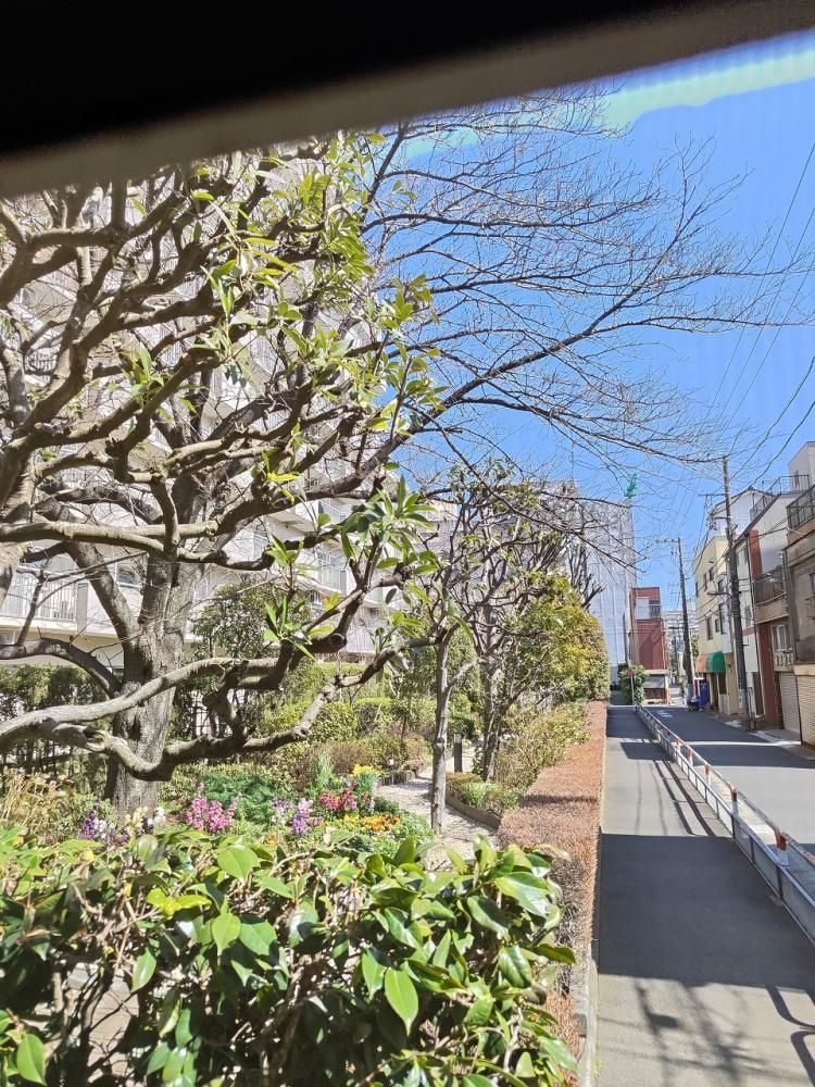 �y���Ӂz�@